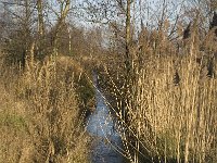 B, Limburg, Lommel, Rietreienloop 6, Saxifraga-Jan van der Straaten