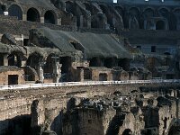 I, Città Metropolitana di Roma Capitale, Roma 13, Saxifraga-Jan van der Straaten