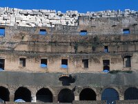 I, Città Metropolitana di Roma Capitale, Roma 14, Saxifraga-Jan van der Straaten