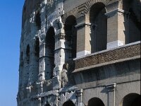 I, Città Metropolitana di Roma Capitale, Roma 18, Saxifraga-Jan van der Straaten
