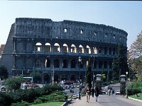 I, Città Metropolitana di Roma Capitale, Roma 19, Saxifraga-Jan van der Straaten