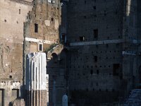 I, Città Metropolitana di Roma Capitale, Roma 6, Saxifraga-Jan van der Straaten
