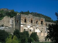 I, Napoli, Pompeiii 33, Saxifraga-Jan van der Straaten
