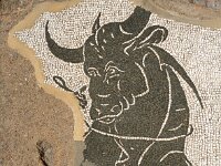 I, Napoli, Pompeiii 6, Saxifraga-Jan van der Straaten