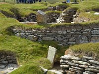 SCO, Orkney, Sandwick, Skara Brae 1, Saxifraga-David Foubister