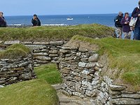 SCO, Orkney, Sandwick, Skara Brae 3, Saxifraga-David Foubister