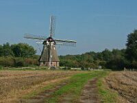 NL, Drenthe, De Wolden, Ruinen, Molen Zaandplatte 1, Saxifraga-Hans Dekker