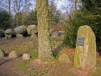 NL, Drenthe, Westerveld, Diever 1a, Saxifraga-Hans Dekker