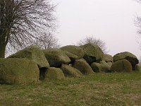 NL, Drenthe, Aa en Hunze, Balloo 2, Saxifraga-Hans Dekker