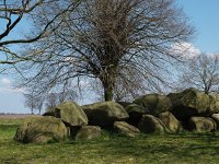 NL, Drenthe, Aa en Hunze, Balloo 3, Saxifraga-Hans Dekker