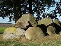 NL, Drenthe, Aa en Hunze, Eext 1, Saxifraga-Hans Dekker