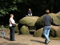 NL, Drenthe, Borger-Odoorn, Borger 2, Saxifraga-Hans Dekker