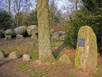 NL, Drenthe, Diever 1, Saxifraga-Hans Dekker