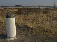 NL, Noord-Brabant, Goirle, Regte Heide 17, Saxifraga-Jan van der Straaten