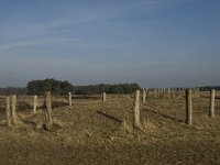 NL, Noord-Brabant, Goirle, Regte Heide 19, Saxifraga-Jan van der Straaten