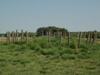 NL, Noord-Brabant, Goirle, Regte Heide, tumulus 9, Saxifraga-Willem van Kruijsbergen