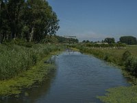 NL, Noord-Brabant, Altena, Oostkil 9, Saxifraga-Jan van der Straaten