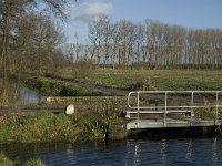 NL, Noord-Brabant, Bergeijk, Beekloop 10, Saxifraga-Marijke Verhagen