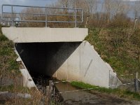 NL, Noord-Brabant, Boxtel, Vleeschbroek 1, Saxifraga-Jan van der Straaten