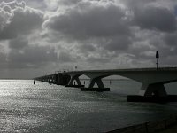 NL, Zeeland, Schouwen-Duiveland, Zeelandbrug 1, Saxifraga-Peter Meininger