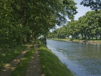 B, Limburg, Bree, Zuid-Willemsvaart 2, Saxifraga-Jan van der Straaten