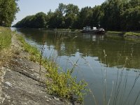 B, Limburg, Kinrooi, Kanaal Bocholt-Herentals 1, Saxifraga-Marijke Verhagen