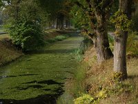 NL, Drenthe, Midden-Drenthe, Witterveld 4, Saxifraga-Hans Dekker