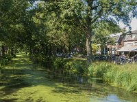 NL, Limburg, Horst aan de Maas, Helenavaart 2, Saxifraga-Marijke Verhagen