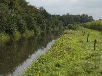 NL, Noord-Brabant, Oirschot, De Baest, Diversion canal 2, Saxifraga-Jan van der Straaten