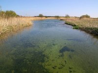 NL, Noord-Holland, Castricum 4, Foto Fitis-Sytske Dijksen