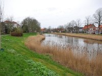 NL, Zeeland, Middelburg, Noordvest 1, Saxifraga-Tom Heijnen