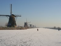 NL, Zuid-Holland, Alblasserdam, Kinderdijk 3, Saxifraga-Jan C van der Straaten