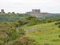GB, Kent, Dover, Dover Castle 1, Saxifraga-Tom Heijnen