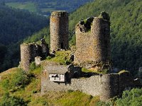 F, Lozere, Saint-Julien-du-Tournel, Chateau de Tournel 1, Saxifraga-Elisabeth Raboin