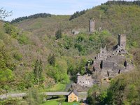 D, Rheinland-Pfalz, Manderscheid, Niederburg & Oberburg 1, Saxifraga-Tom Heijnen