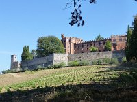 I, Siena, Gaiole in Chianti, Castello di Brolio 2, Saxifraga-Tom Heijnen