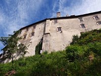 SLO, Gorenjska, Bled 5, Saxifraga-Hans Dekker