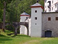 SLO, Notranjska, Obcina Loska dolina, Grad Sneznik 1, Saxifraga-Hans Dekker