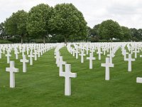 NL, Limburg, Eijsden, Margraten, Netherlands American Cemetery 1, Saxifraga-Tom Heijnen