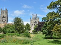 GB, East Cambridgeshire, Ely, Ely Cathedral 5, Saxifraga-Tom Heijnen