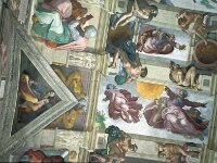 I, Città Metropolitana di Roma Capitale, Stato della Citta del Vaticano, Basilica di San Pietro 23, Saxifraga-Jan van der Straaten