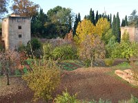 E, Granada, Granada, Alhambra 1, Saxifraga-Tom Heijnen