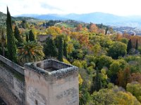 E, Granada, Granada, Alhambra 10, Saxifraga-Tom Heijnen