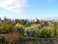 E, Granada, Granada, Alhambra 5, Saxifraga-Tom Heijnen