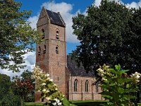 NL, Drenthe, Westerveld, Vledder 1, Saxifraga-Hans Dekker