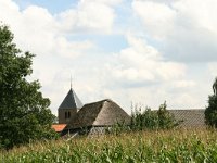 NL, Gelderland, Wijchen, Balgoij 1, Saxifraga-Hans Boll