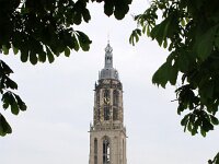 NL, Utrecht, Rhenen, Cuneratoren 4, Saxifraga-Foto Fitis-Sytske Dijksen