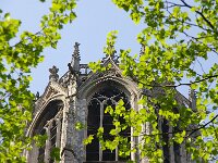 NL, Utrecht, Utrecht, Domtoren 5, Saxifraga-Foto Fitis-Sytske Dijksen