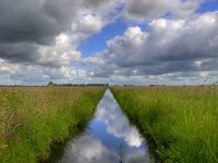 reflecting polder ditch  cloudy sky reflecting in a typical dutch polder ditch : Polder, aan het water, agrarische, agricultural, agriculture, beautiful, beauty, blauw, blue, calm, canal, clean, cloud, clouds, colour, country, creation, creative nature, ditch, drain, dutch, fresh, freshwater, fris, gras, grass, green, groen, groningen, holland, kalm, kanaal, kleur, land, landbouw, landelijk, landscape, landschap, lente, licht, light, lucht, management, meadow, mood, natural, nature, natuur, natuurlijk, nederland, niemand, nobody, reed, reeds, reflectie, reflection, riet, rudmer zwerver, rural, schoon, sky, sloot, spring, springtime, stunning, summer, water, waterfront, waterkwaliteit, waterlevel, watermangement, waterquality, waterschap, weide, wolk, wolken, zoet water, zomer