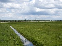 NL, Noord-Brabant, Drimmelen, Polder Kwestieus 4, Saxifraga-Willem van Kruijsbergen